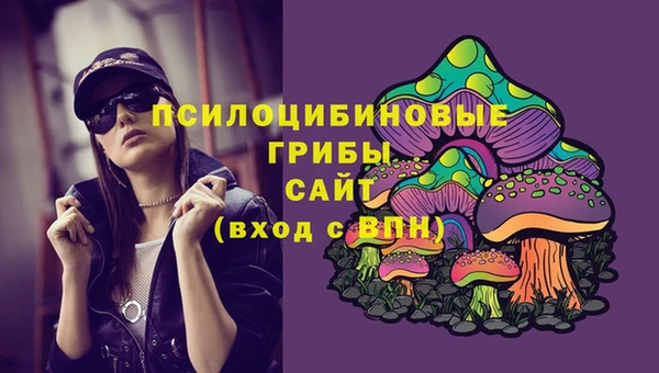 твердый Алексеевка