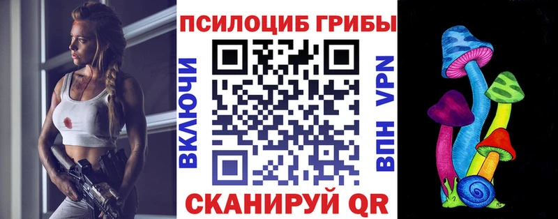 hydra как зайти  Архангельск  Псилоцибиновые грибы Magic Shrooms  сайты даркнета состав  сколько стоит 