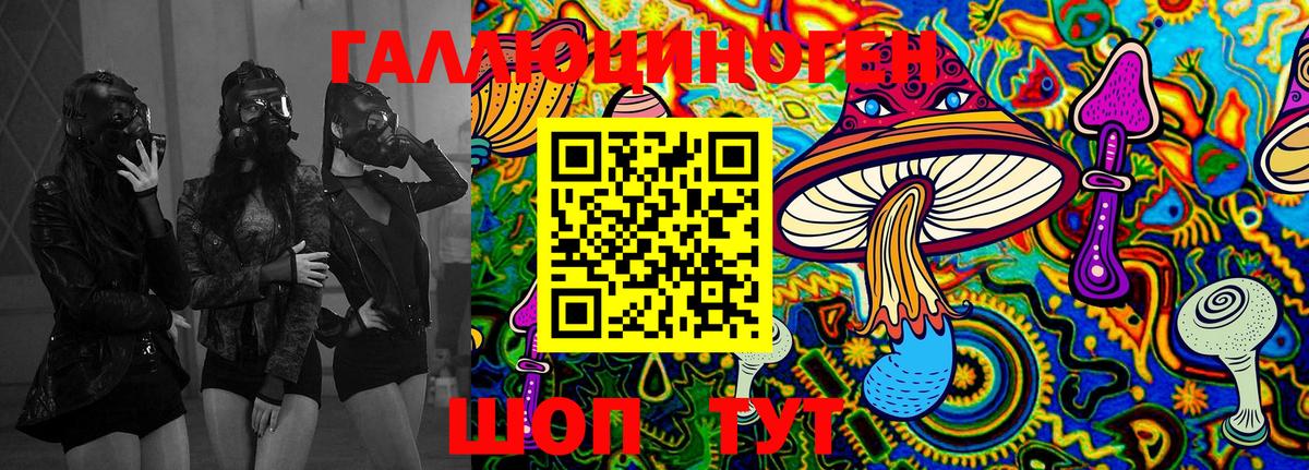 Галлюциногенные грибы Psilocybe  Вход с VPN  Архангельск 