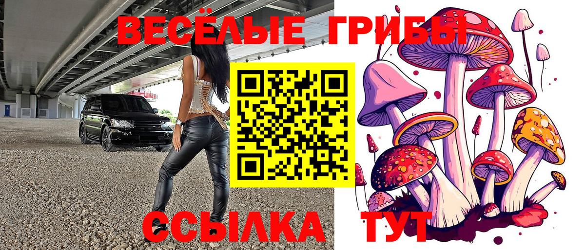 Галлюциногенные грибы прущие грибы Архангельск
